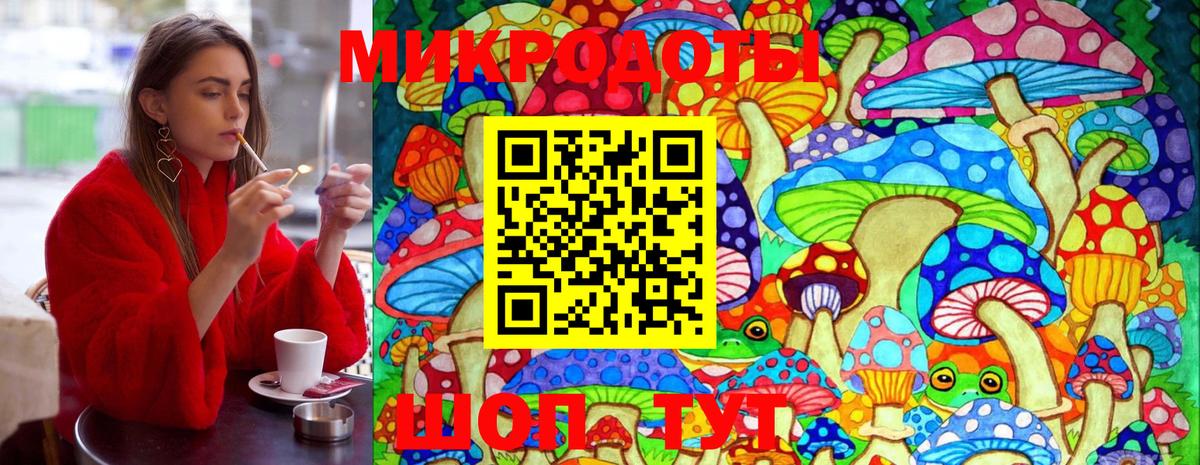 Псилоцибиновые грибы MAGIC MUSHROOMS Истра