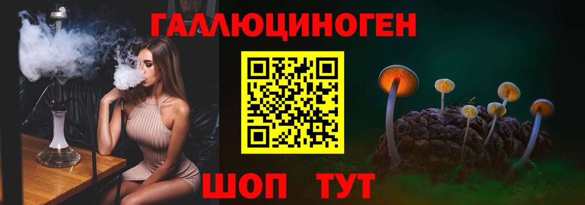 Галлюциногенные грибы Cubensis  Вход с VPN  Истра 